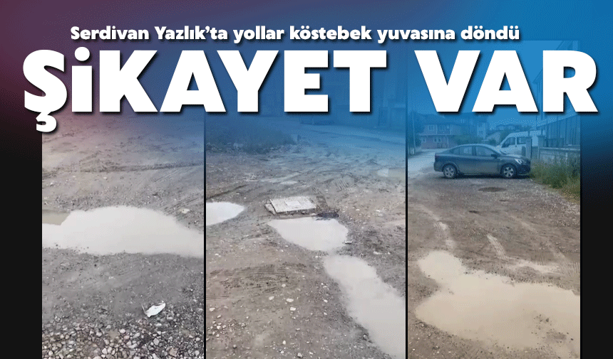 Serdivan'da yollar köstebek yuvasına döndü!