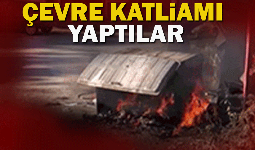 Adapazarı'nda çevre katliamı çöp yakma vakaları artıyor