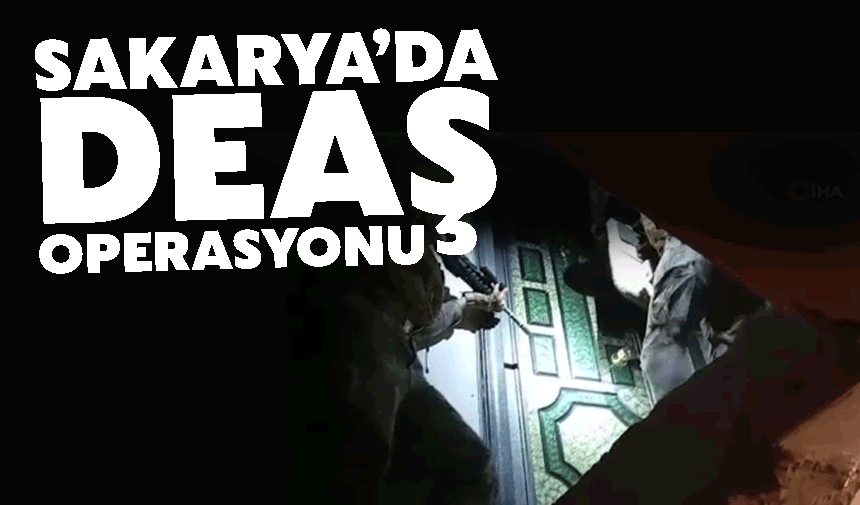 Sakarya'da DEAŞ’a darbe