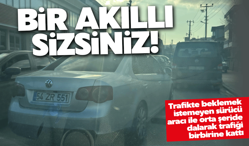 Trafik magandası iş başında!