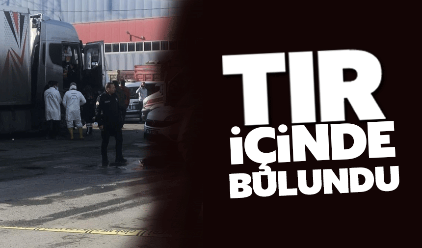 Tır kabininde bir kişi ölü bulundu