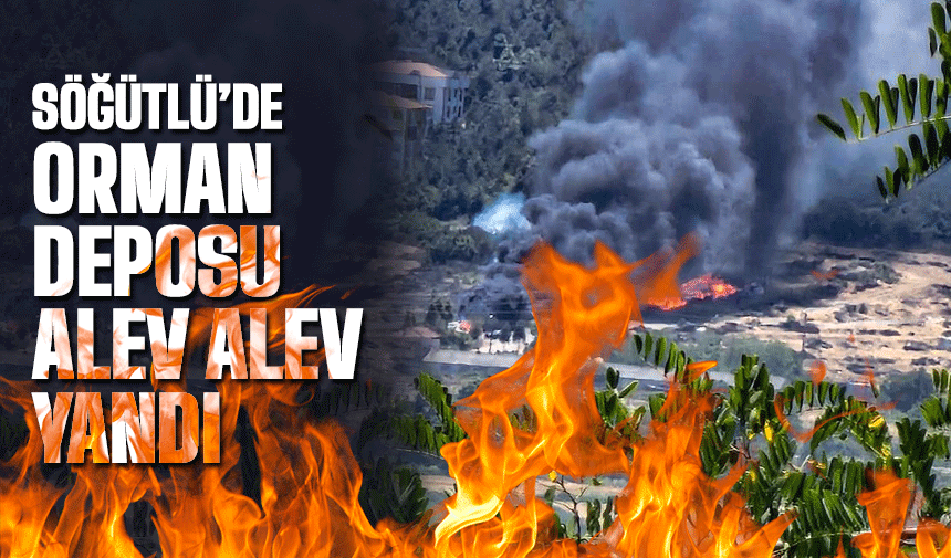 Söğütlü'de korkutan yangın! | Söğütlü Orman deposu yandı!