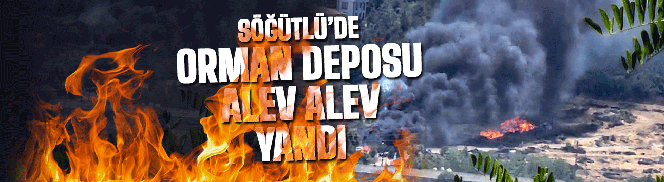 Söğütlü'de korkutan yangın! | Söğütlü Orman deposu yandı!