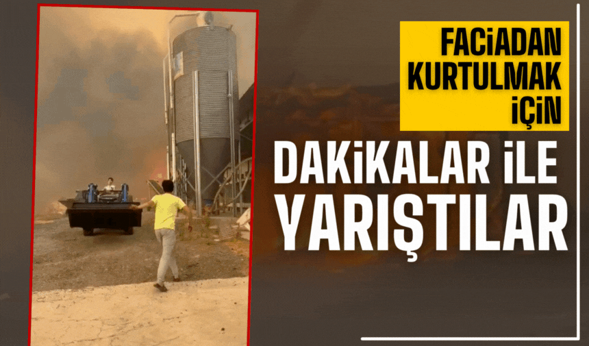 Canlarını kurtarmak için dakikalar ile yarışıyorlar!