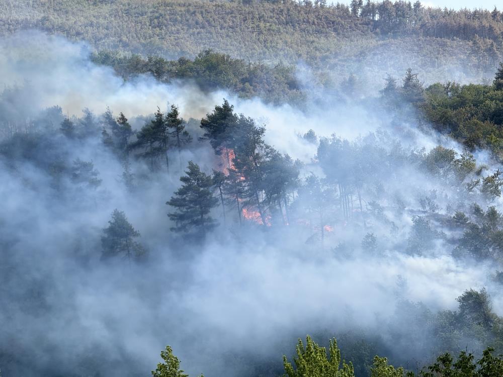 Sakarya’dan, Bilecik’e Sıçrayan Yangının Çıkış Sebebi Belli Oldu 122