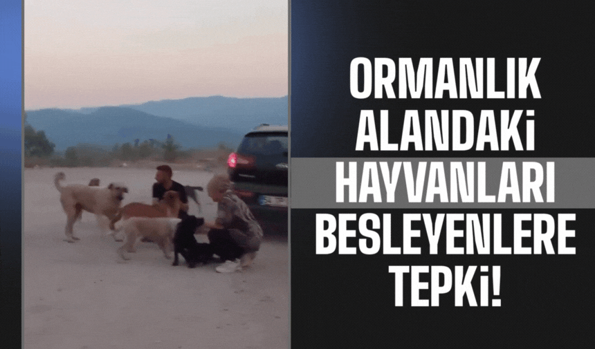 Sosyal Medyada “Kırsal Besleme” Tartışması!
