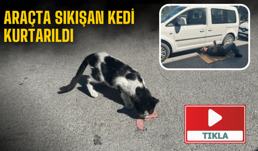 Araçta Sıkışan Kedi Kurtarıldı
