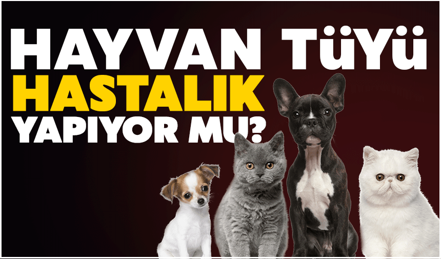 Veteriner Yıldız'dan önemli uyarı