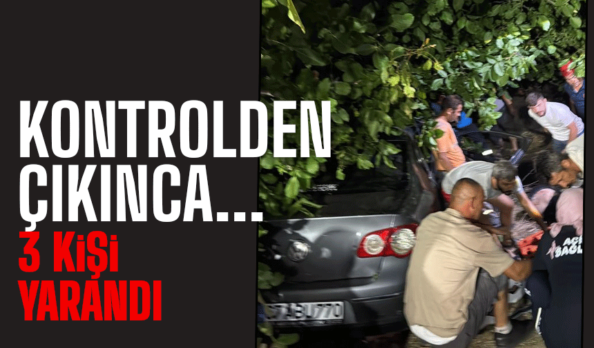 Kontrolden çıktı kaza yaptı: 3 yaralı!