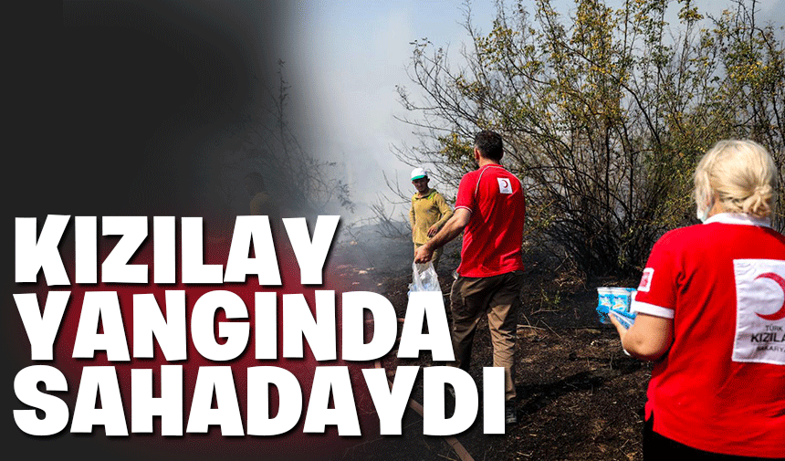 Kızılay Sakarya Şubesi  tam kadro sahadaydı