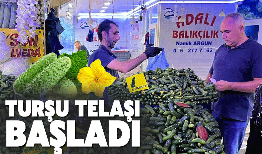 Kornişon turşusunda fiyatlar değişmedi