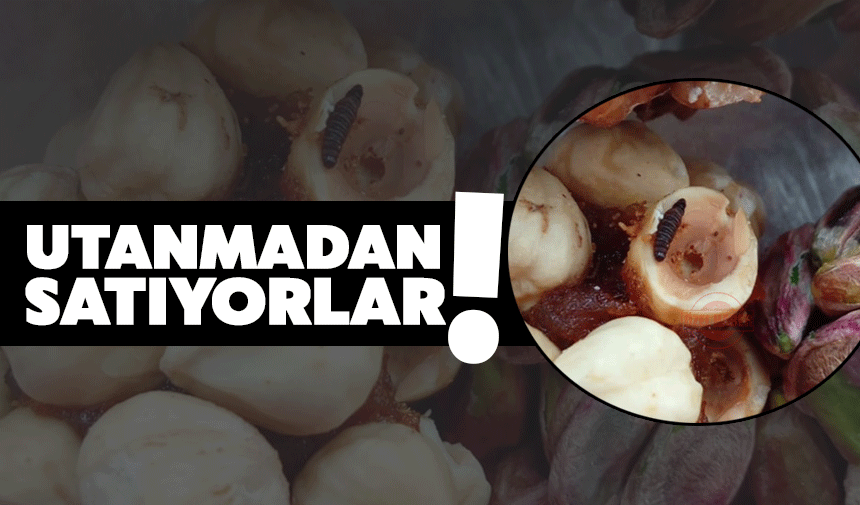 Raflardan Alınan Kuruyemişten Kurt Çıktı!