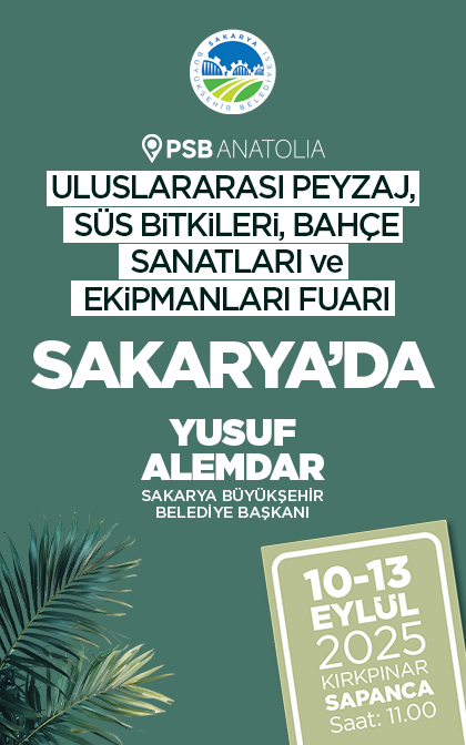 reklam77_desktop