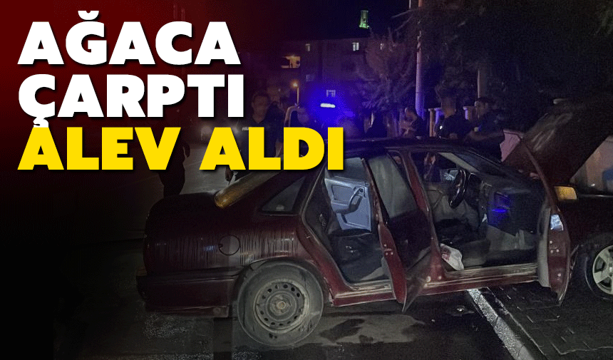 Park Halindeki Otomobil Alev Alev Yandı