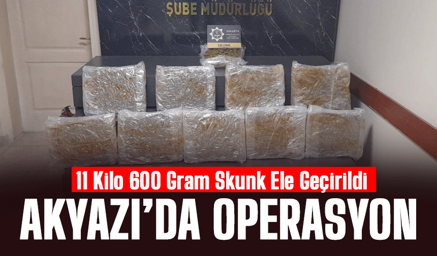 11 Kilo 600 Gram Skunk Ele Geçirildi
