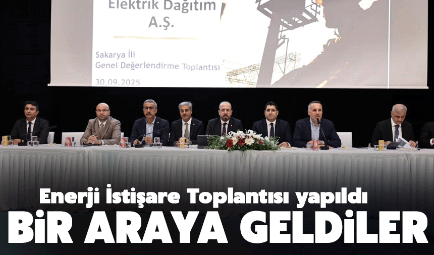 Elektrik ve Doğalgaz Hizmetleri Masaya Yatırıldı
