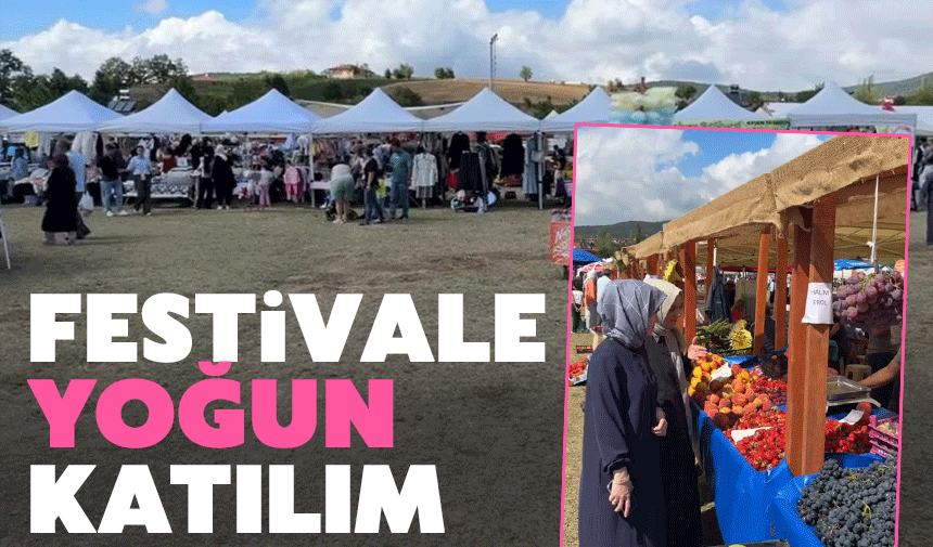 Çilek festivaline yoğun katılım