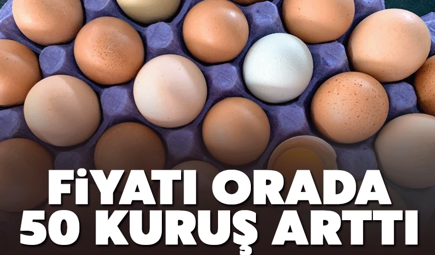 Yumurta Fiyatlarında Artış Sürüyor