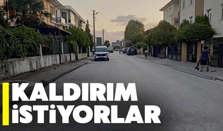 Mahalleli o sokağa kaldırım istiyor