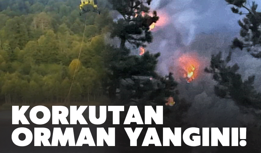 Akyazı ve Hendek arasında bulunan ormanlık alanda yangın!