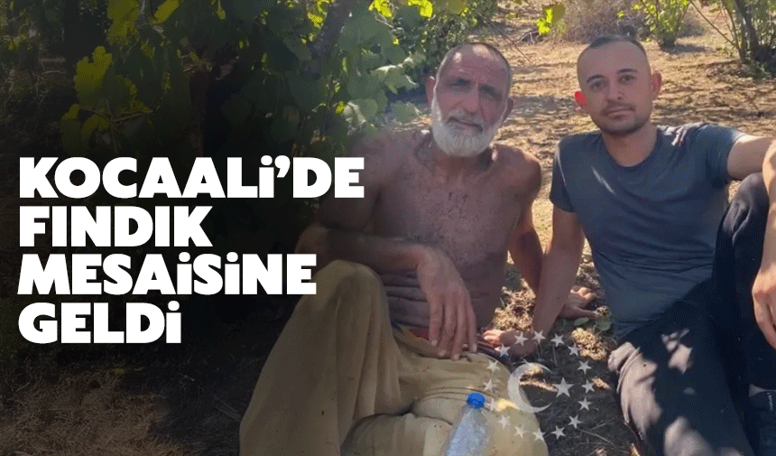 Kurtlar Vadisi'nin Memati'si Sakarya'da fındık toplamaya geldi