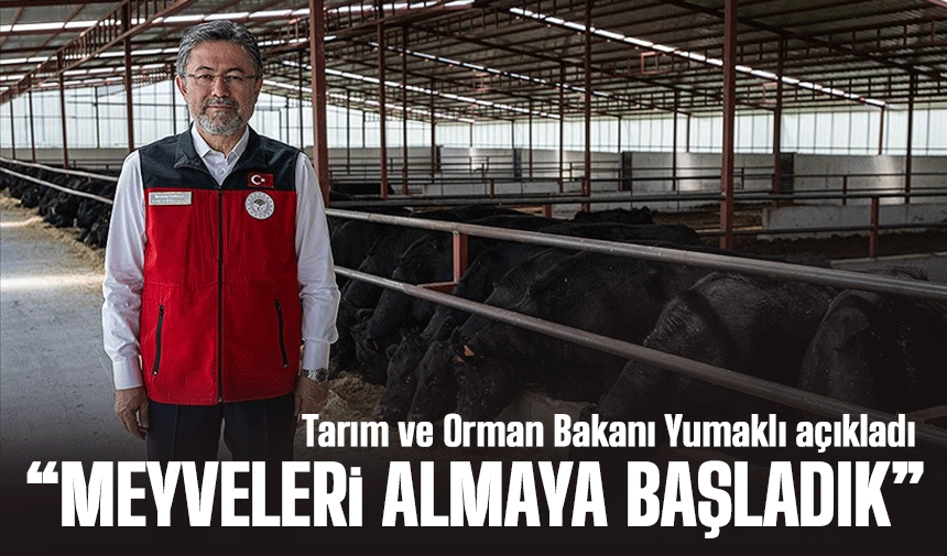 Büyükbaş ve Küçükbaş Hayvan Varlığında Artış Yaşandı