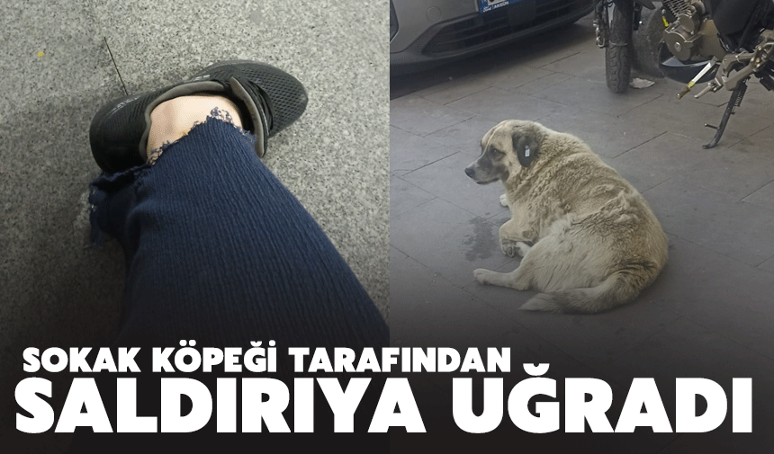 Yoldan geçerken saldırıya uğradı