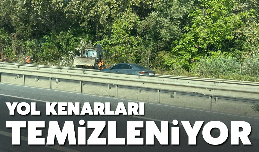 D-650 karayolu kenarlarında dikenlik alanlar temizlendi