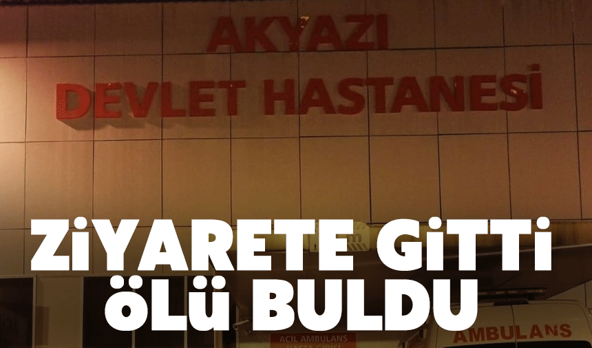 Ziyarete gittiği arkadaşını ölü buldu