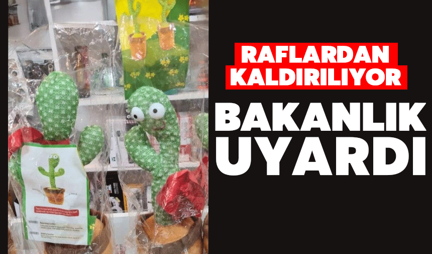 Sosyal Medyada Popüler Oynayan Kaktüs Oyuncağı Yasaklandı