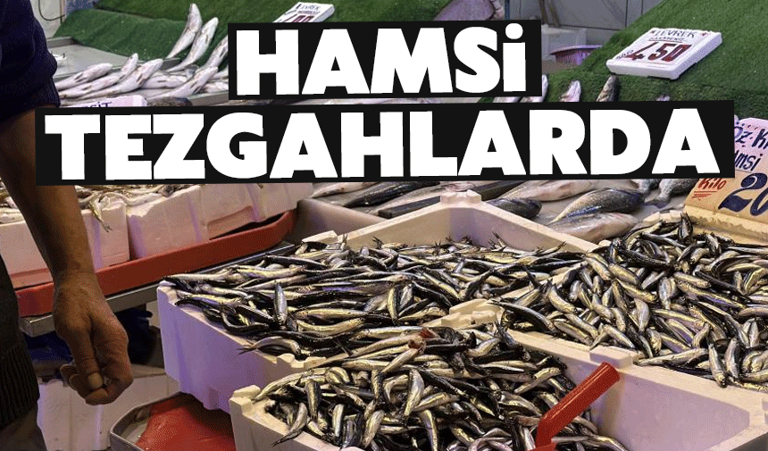 Hamsi Sahneye Çıktı: Kilosu 200 Lira