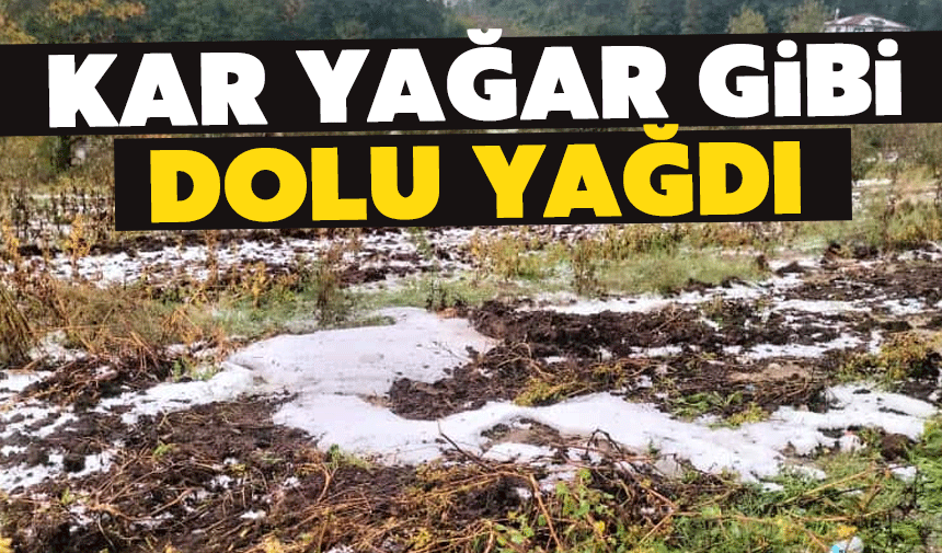 Kar yağar gibi dolu yağdı