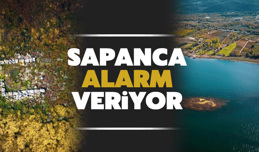 SAÜ’lü akademisyenden kritik uyarı
