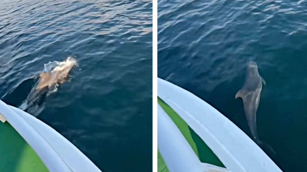 Ekran Goruntusu 2025 02 01 182921