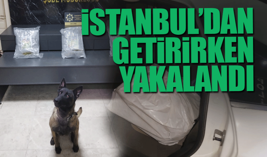 İstanbul'dan getirirken yakalandı!