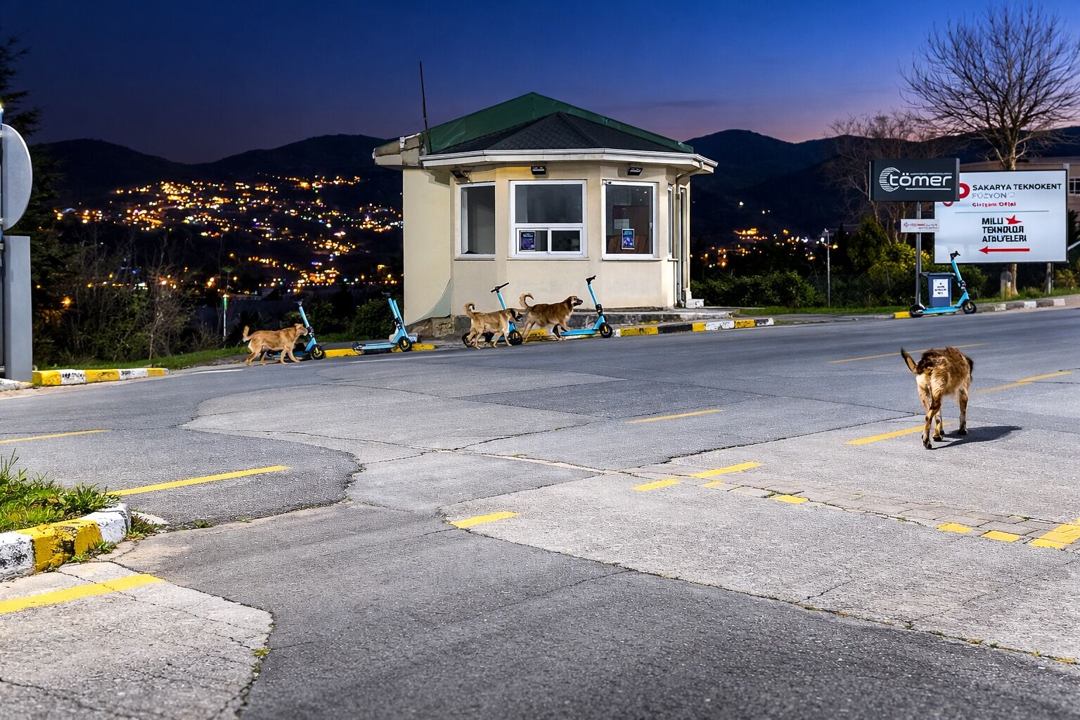 Whatsapp Image 2026 03 19 At 12.01.16