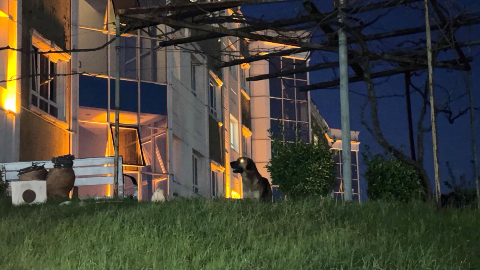 Whatsapp Image 2026 03 19 At 12.01.21