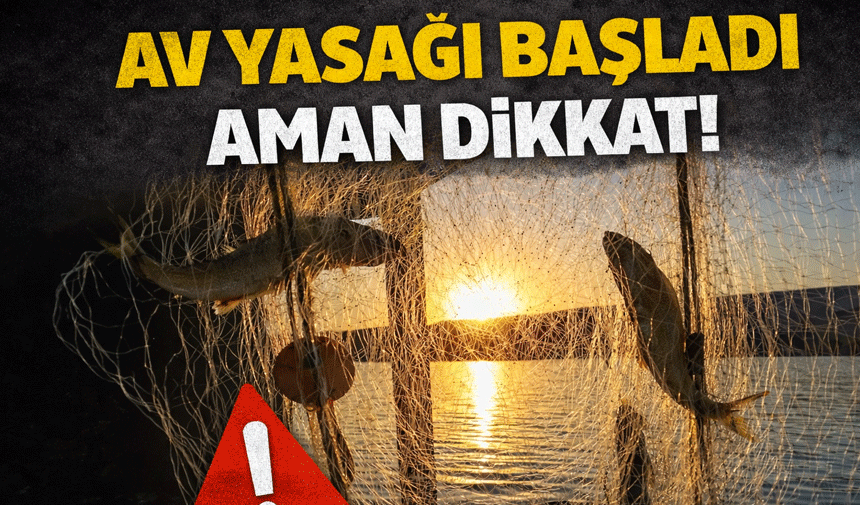 Balıkçılıkta av yasağı başladı