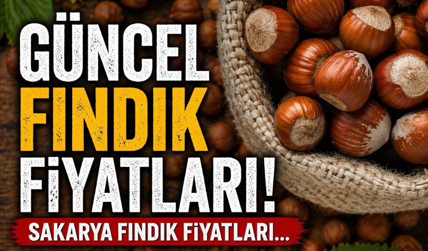 Sakarya’da Fındık Piyasası Hareketlendi