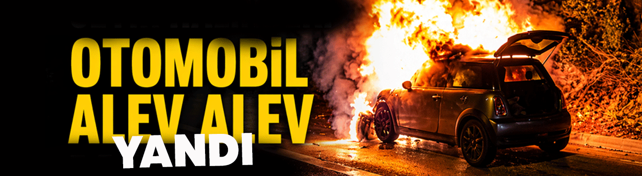Sapanca’da Seyir Halindeki Otomobil Alev Alev Yandı