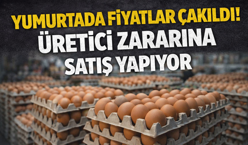 Yumurtada Fiyatlar Çakıldı! Üretici Zararına Satış Yapıyor