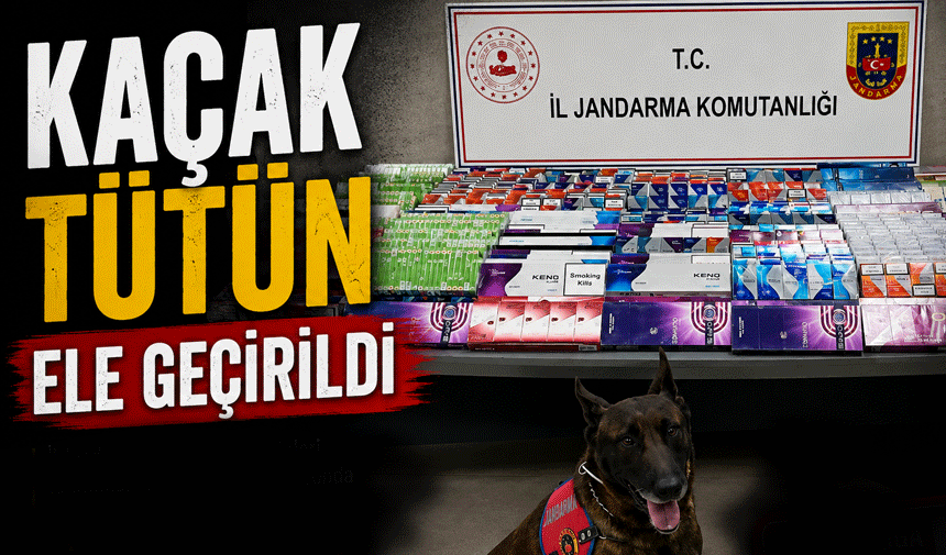 Binlerce Makaron Ele Geçirildi