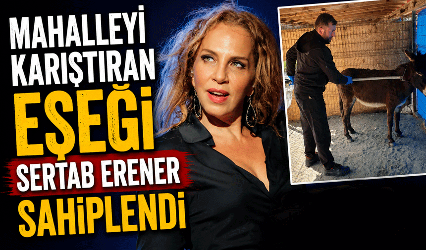 Mahalleyi Karıştıran Eşeği Sertab Erener Sahiplendi