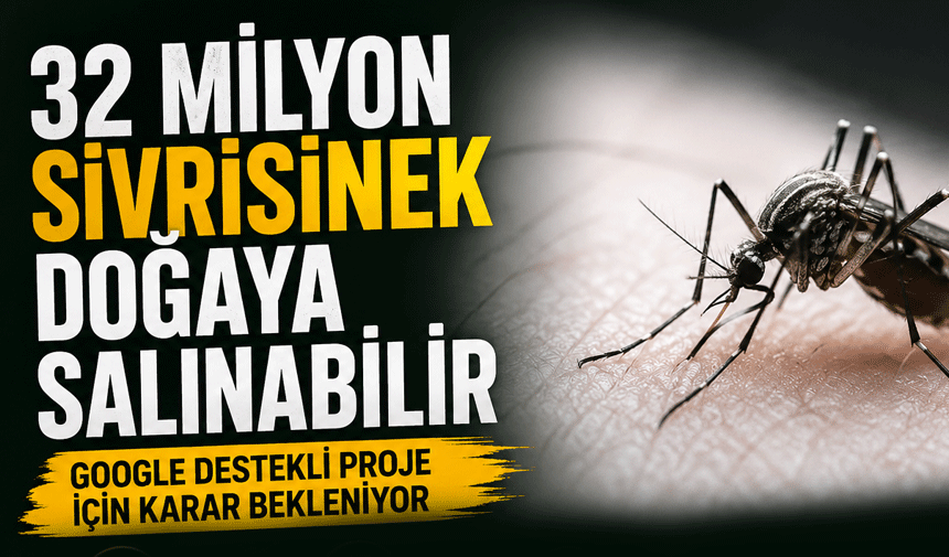 32 Milyon Sivrisinek Doğaya Salınabilir