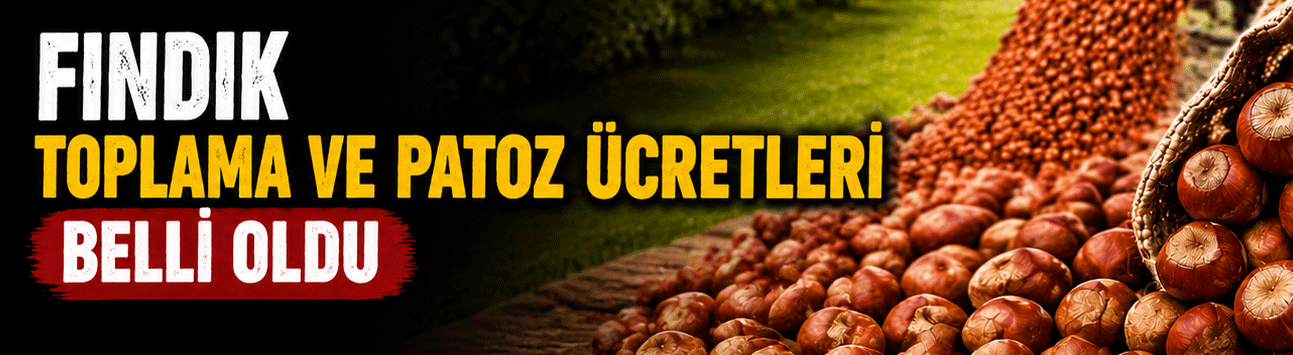 TMO müdahale alım fiyatı 300 TL!