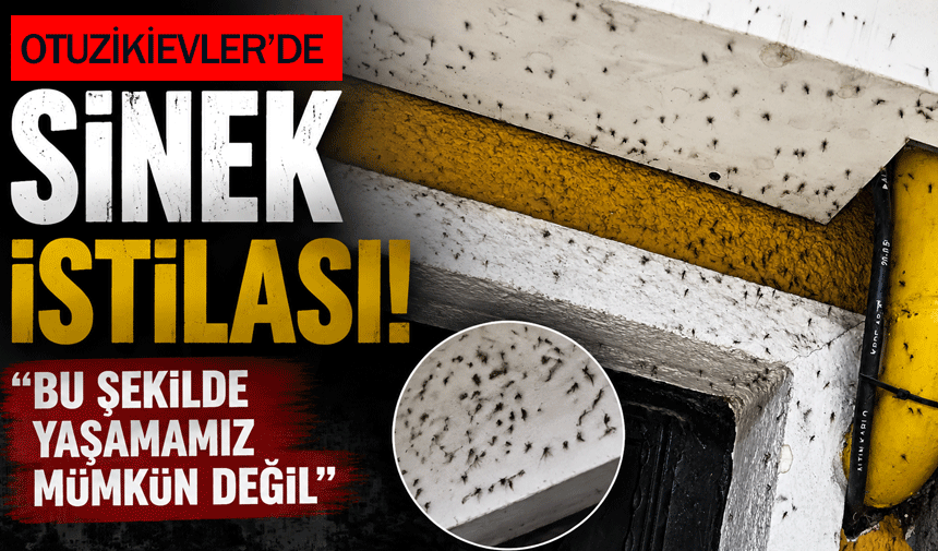 Otuzikievler’de Sinek İstilası İsyanı