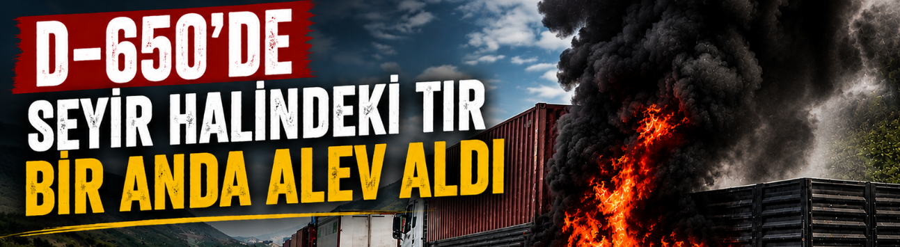 D-650'de seyir halindeki TIR bir anda alev aldı