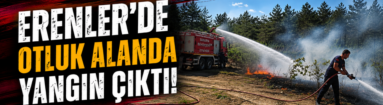 Erenler'de otluk alanda yangın çıktı!