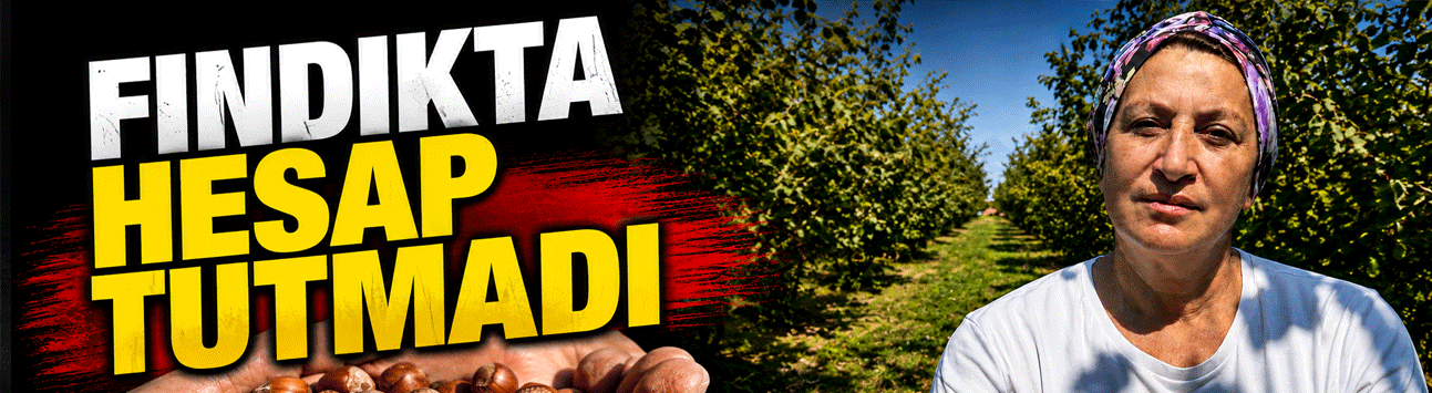 Fındıkta hesap tutmadı