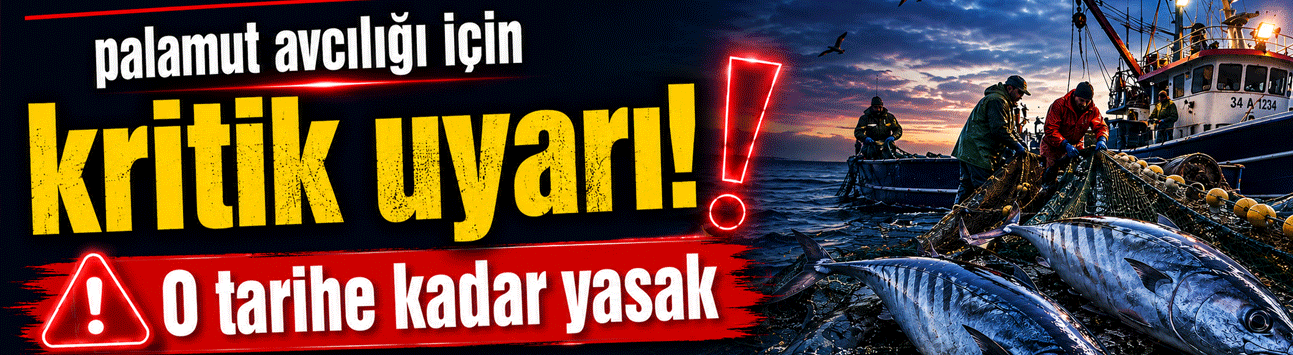 Sakarya’da Palamut Avcılığı Yasağı 15 Ağustos’a Kadar Sürecek